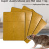 >Haierc Mouse Rodent Glue Trap